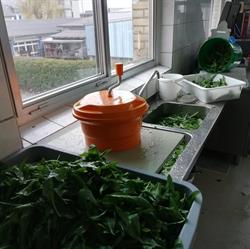 Helg-Gourmet