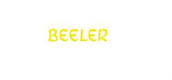 Beeler Roman Holzbau AG