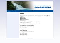 Website von Sanitärinstallateur Rüdisüli Peter AG