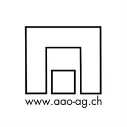 Arbeitsgruppe für Ausführung und Organisation AG