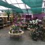 Garten Center Säriswil