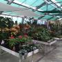 Garten Center Säriswil