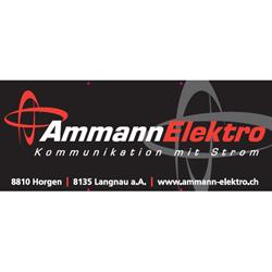 Ammann Elektro AG