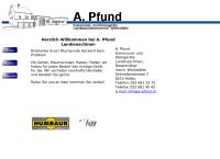 Armin Pfund
