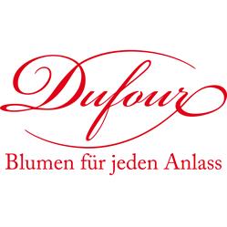 Blumen Dufour AG