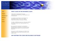 B & M Consulting AG