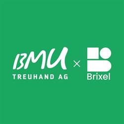 Bmu Treuhand AG