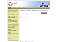 Brogioli Casting-Edelmetallguss AG