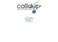 Callidus GmbH