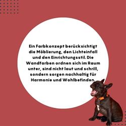 Die Welt in Farbe AG
