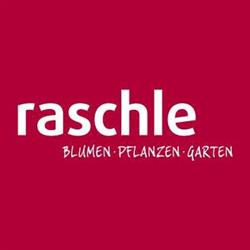 RASCHLE Langnau
