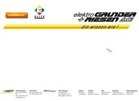 Website von Elektro Grunder & Riesen AG