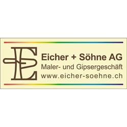 Eicher + Söhne AG
