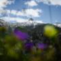 Bergwelt Engstligenalp