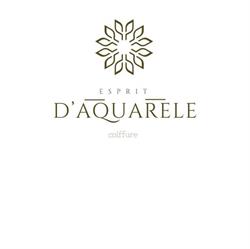 Coiffure Esprit d'Aquarelle