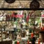 Daphné Fleurs vitrine de magasin