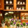 Boutique Daphné Fleurs