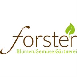 Gärtnerei Forster AG