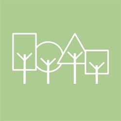 Four Forest Bilingual International School Luzern