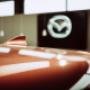 Typische Antennen-(Hai)Flosse von Mazda II