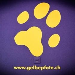 Kleintierpraxis Gelbe Pfote AG