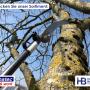 herbatec click & work von Hermann Baur AG