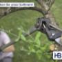 Teleskopscheren Archman Helium bei Hermann Baur AG