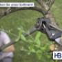 Teleskopscheren Archman Helium bei Hermann Baur AG