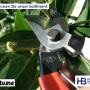 Japanische Handscheren Okatsune bei Hermann Baur AG