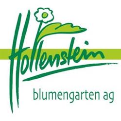 hollenstein blumengarten ag-Blumenshop-Gärtnerei-Gartenbau-Unterhalt-Grabpflege