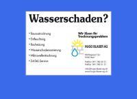 Blaser Hugo AG