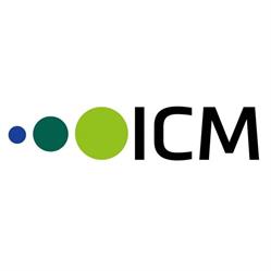 Icm Image & Concepts Management AG