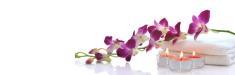 Wellnesstempel.ch