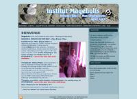 Institut Mageholis