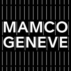 Musée D'art Moderne Et Contemporain de Genève Mamco
