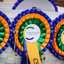 Manège et école d'équitation du Chalet-à-Gobet