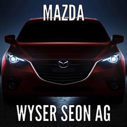 Wyser Seon AG