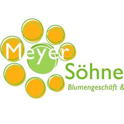 Meyer Söhne AG