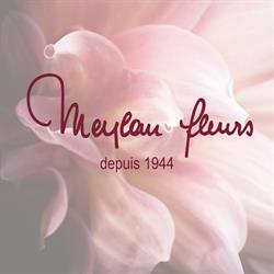 Meylan Fleurs SA