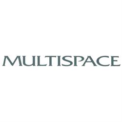 Multispace AG