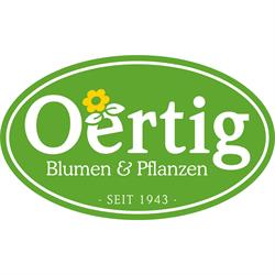 Oertig Blumen und Pflanzen Oerlikon