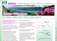 Website von Pedro-Drogerie Wattenwil