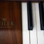 Piano Corner