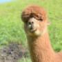 # 2