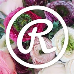 Rheinblumen Lovro