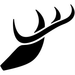 Hirsch Performance AG