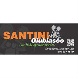 Santini Delbiaggio SA