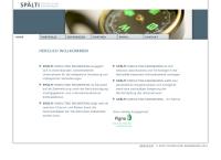 Website von Spälti Consulting