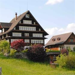 Steiner Weine AG