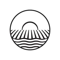 Cantina alla Maggia & Terreni alla Maggia